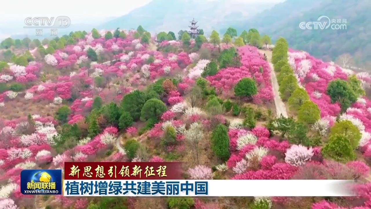 植树增绿共建美丽中国