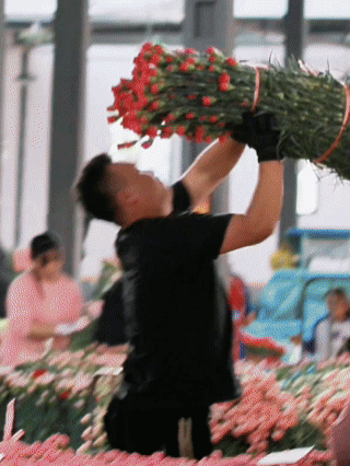 87580e0f80ec2335eace8c1077de1716.gif