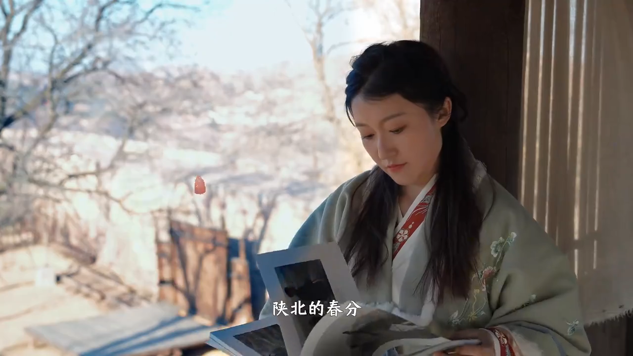 【春天里的陕西】榆林市吴堡县：春分时节 黄土高原 生机勃发