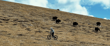 6f3fc07c1482afa39085bf2549ee066f.gif