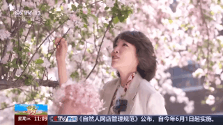 bd1a0d4b8428fe13f13df76212076028.gif