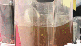 f7566f30c6872ffaaa4fb5209976a2c0.gif