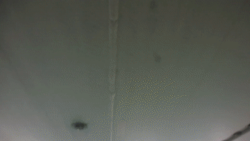 25fb044e4ff2cf49f341c7e7654a0502.gif