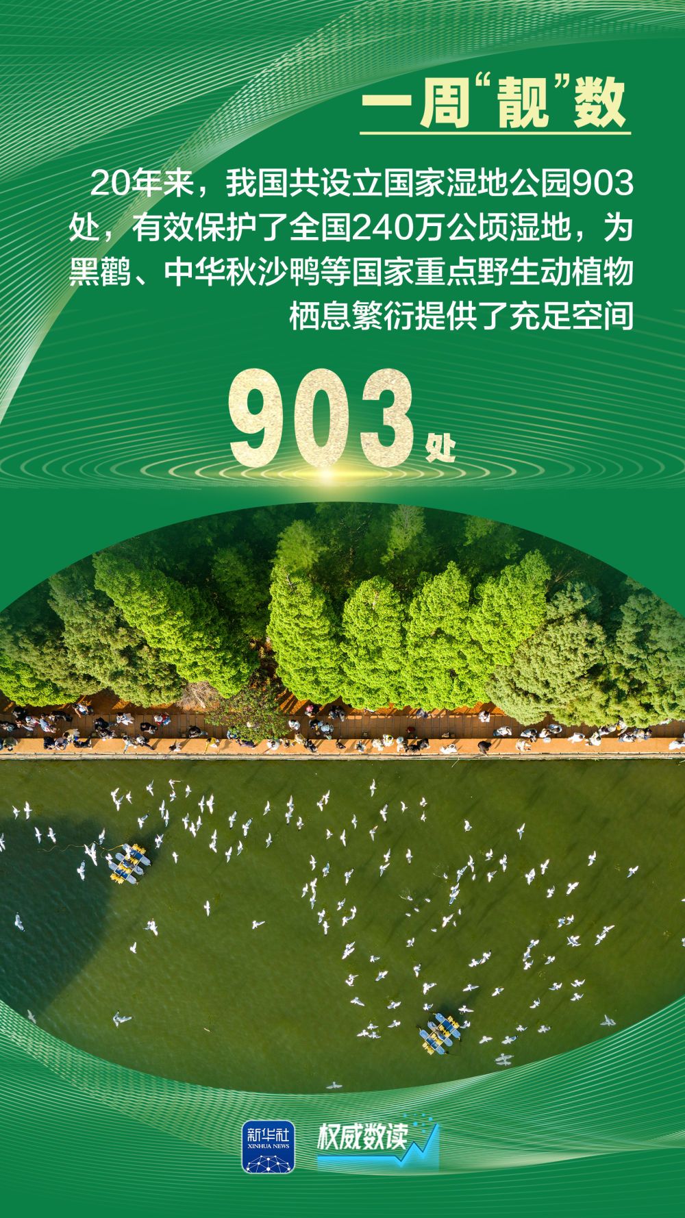 856fca8ab4d31885f80c3ab527fe10b8.jpeg