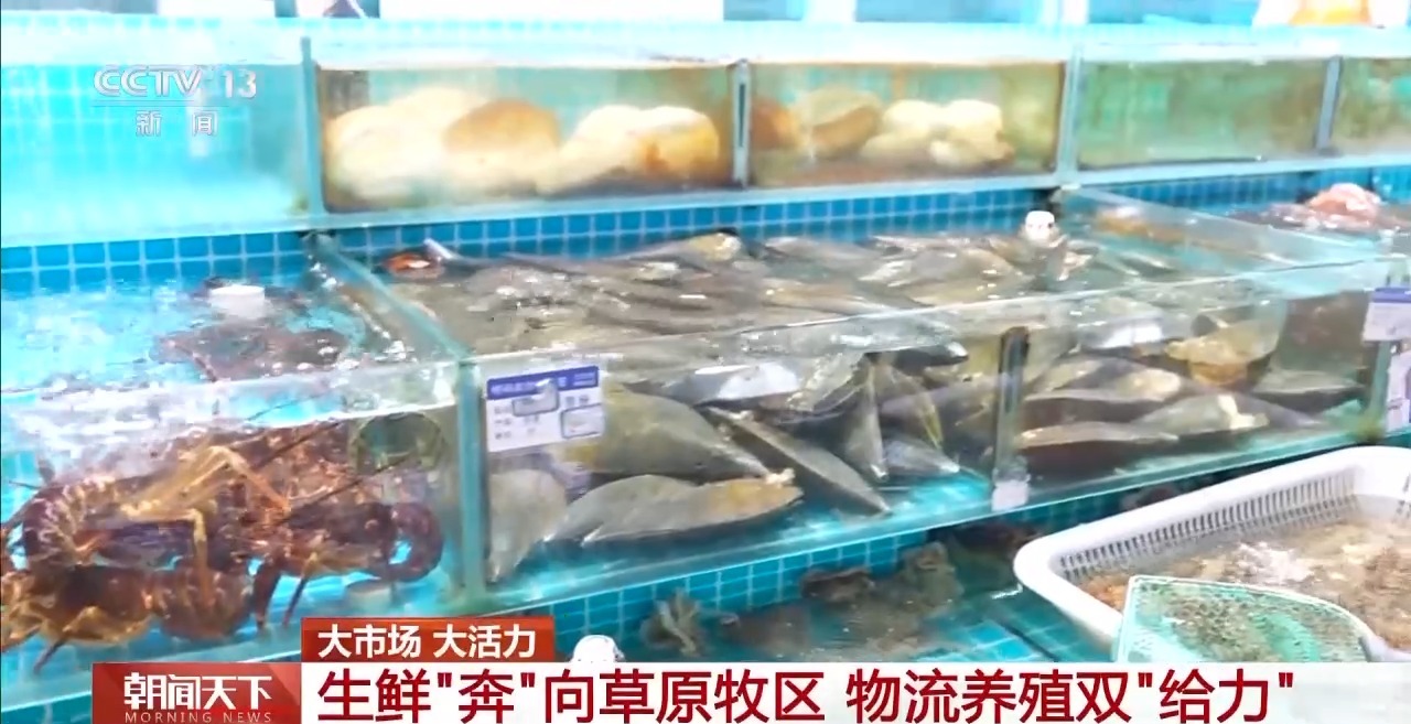 d9d5a7d1cd46133930da1c1e740ae3e6.jpeg