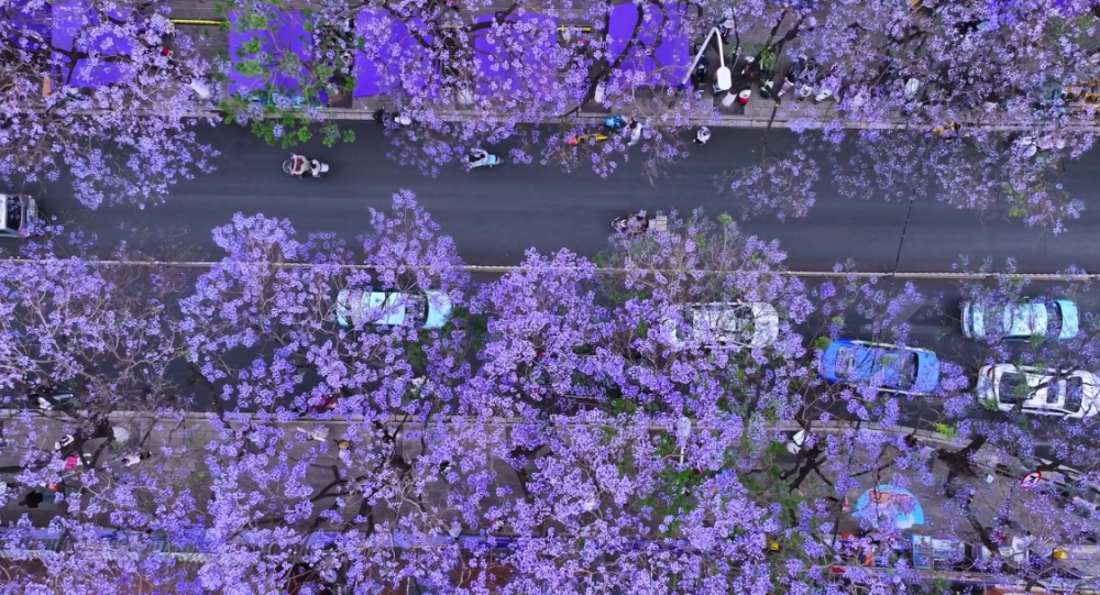 254be5feb444d6742c0c276029db317f.png