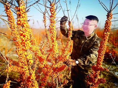 这就是青春最飒的英姿——“青马工程”学员与他们所钟爱的事业