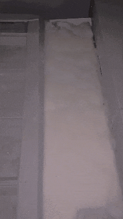 28100e124e2c9fd0380eb62afd008623.gif
