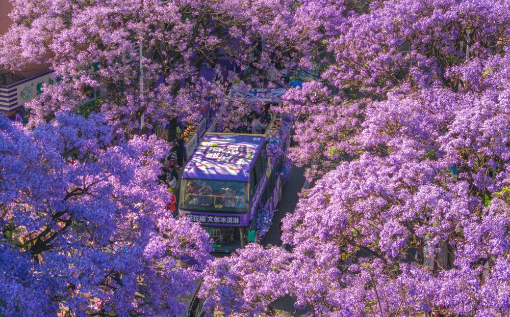 bee98b26e0f5d311f5ef1daf7d5254e7.jpeg