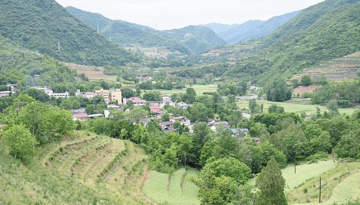 略阳徐家坪：用勤劳双手建设美丽家园