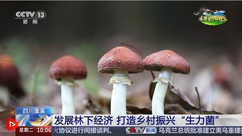 d1185a5201c24b734eb9a56dff19f217.png