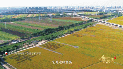9e9f6b896a68c9fdd59f8ab769fa7d02.gif