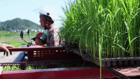 5f303bdd4ea7ea12118938fabf36c75d.gif