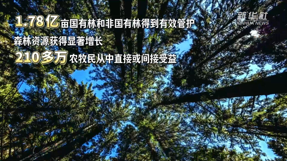 9937a3735a1bc64205772a5143b658a4.png