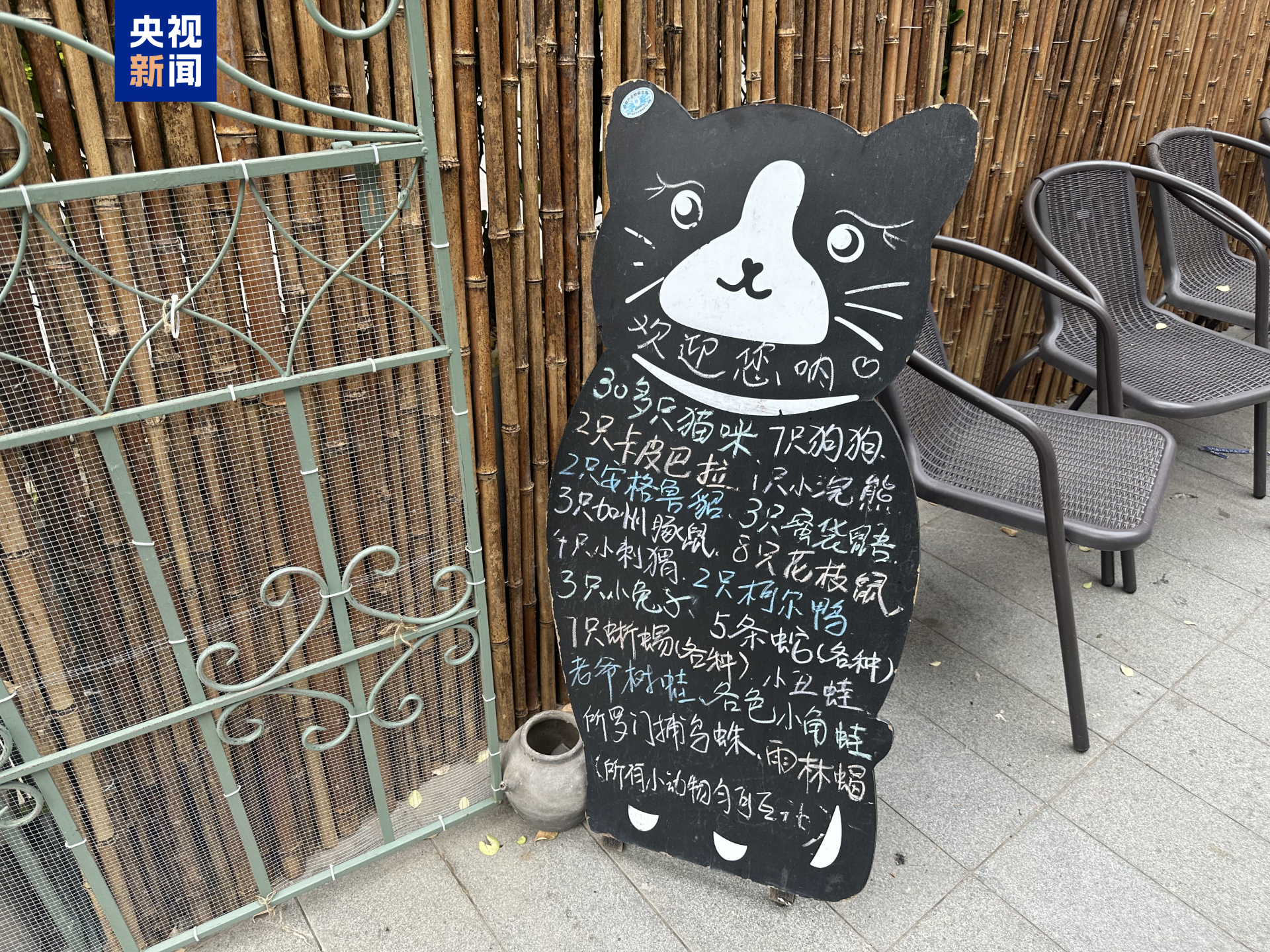 68c2141eb0972873110deb8e5e3ee79c.png