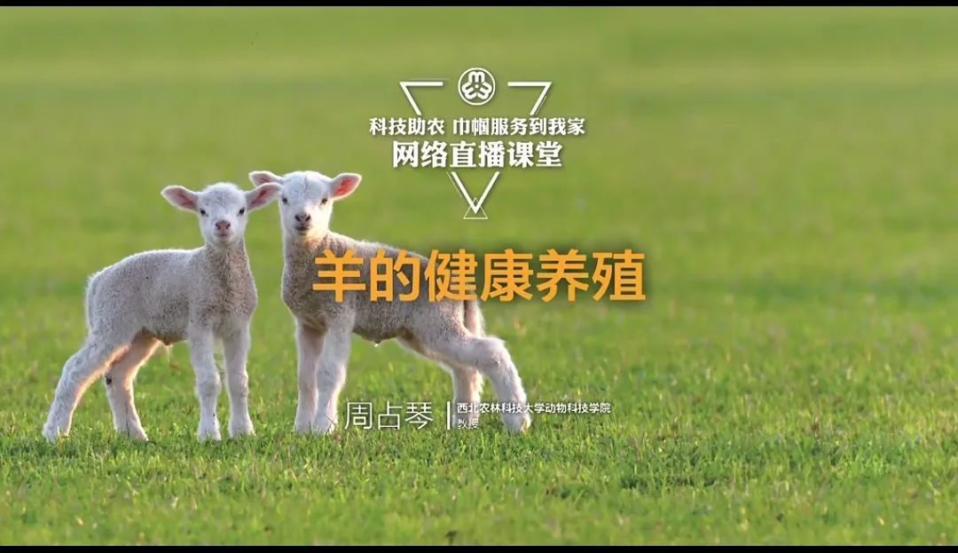 fe8e4619c1ca56b4785af6d7c43df088.jpeg