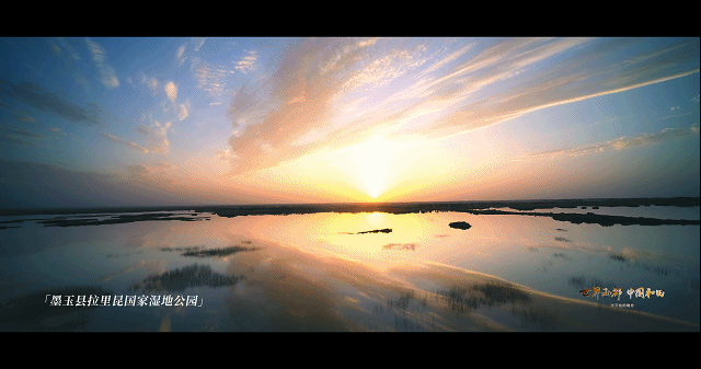 e1b5ade45ef59c5f1693ffce7d443a98.gif