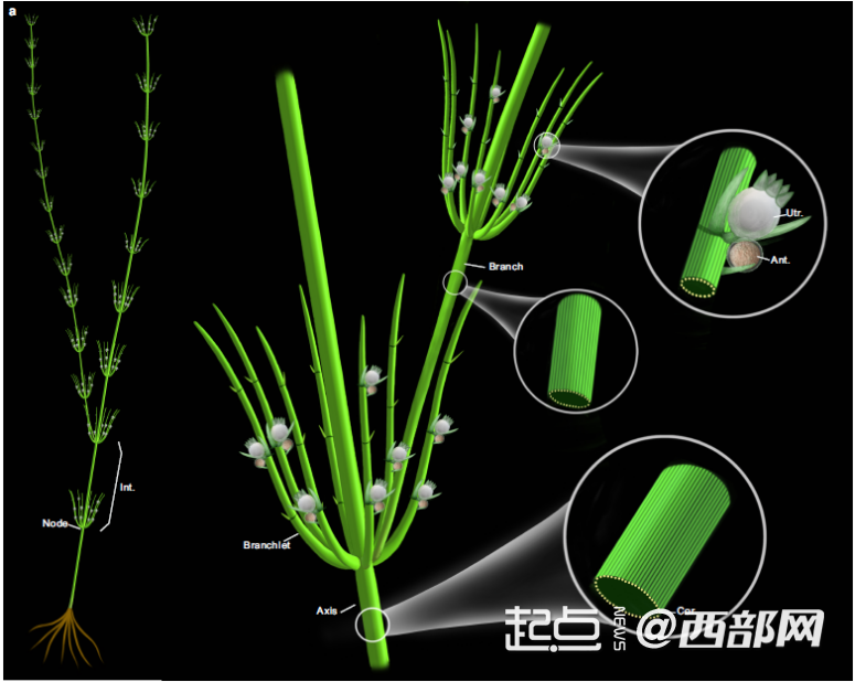 d90cc0cade1b0efaa6279bf775222f5b.png