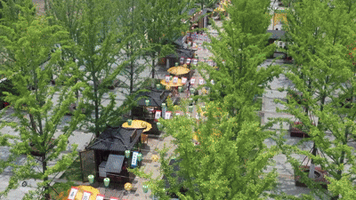 a602d0cc5c75ff5156e93e912eb79fbe.gif