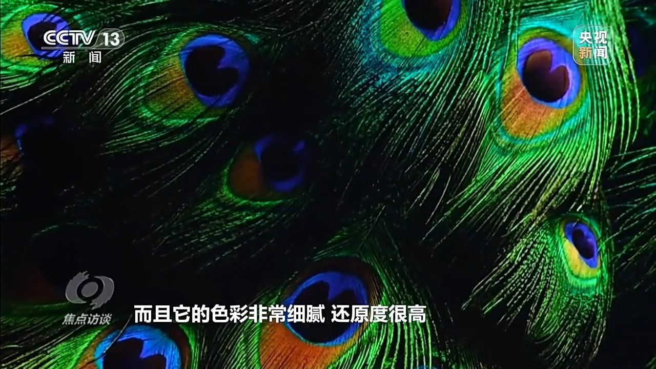fefd31aa8c755b0c92953163e3477b3b.jpeg