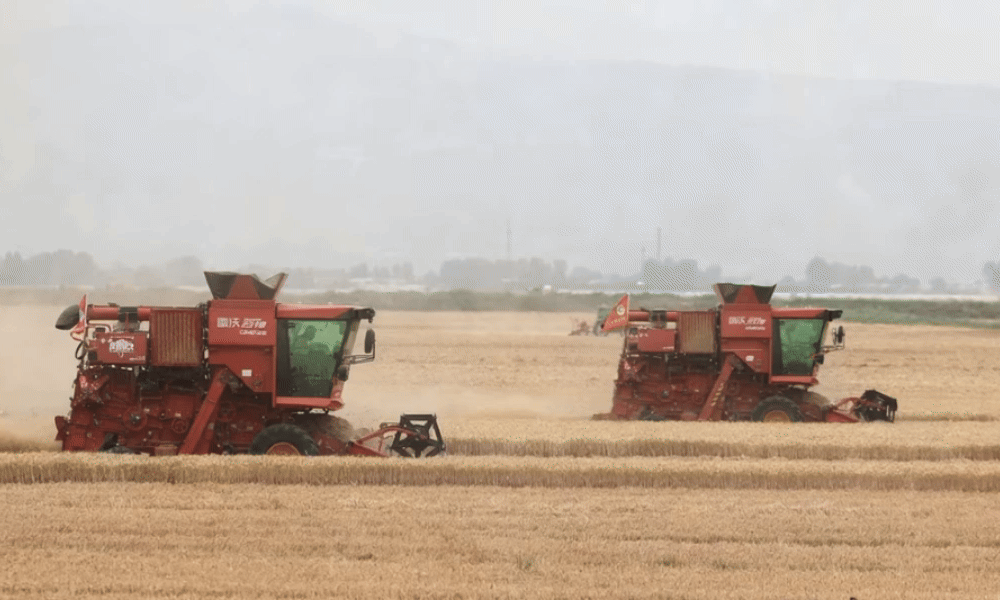 c63b9550c071bf0eb65cada2f4274fb3.gif