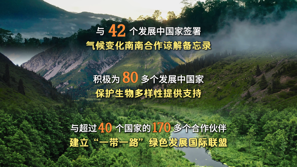 759b1a4770b64cbff8e7e2350d796bad.png