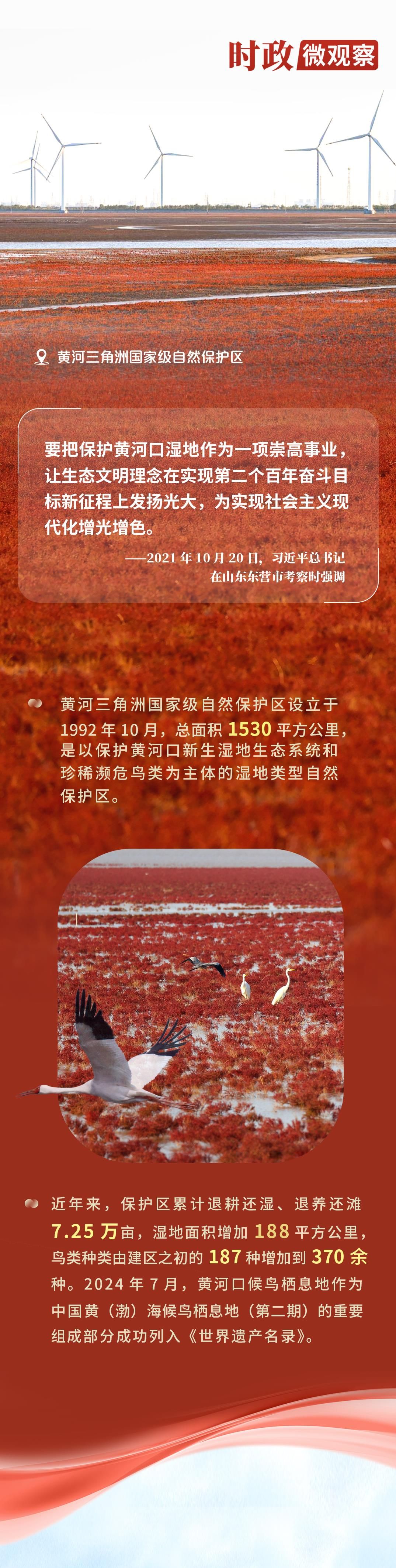 1b1b4cab99856404295539b1028912b1.jpeg