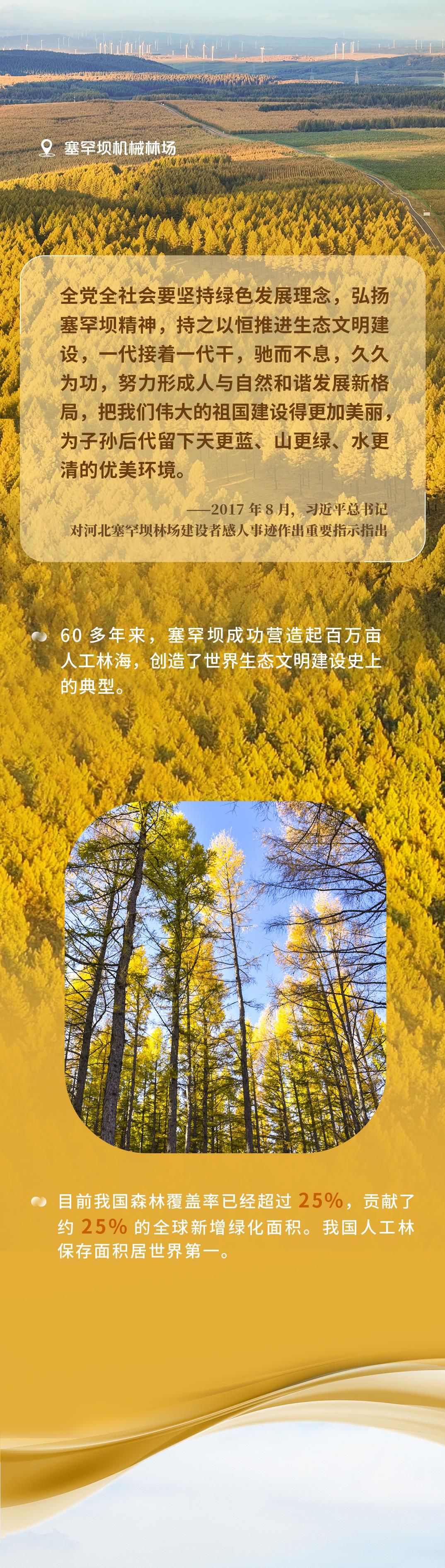 625bb4bba43aaa364f963be4ed5be67e.jpeg