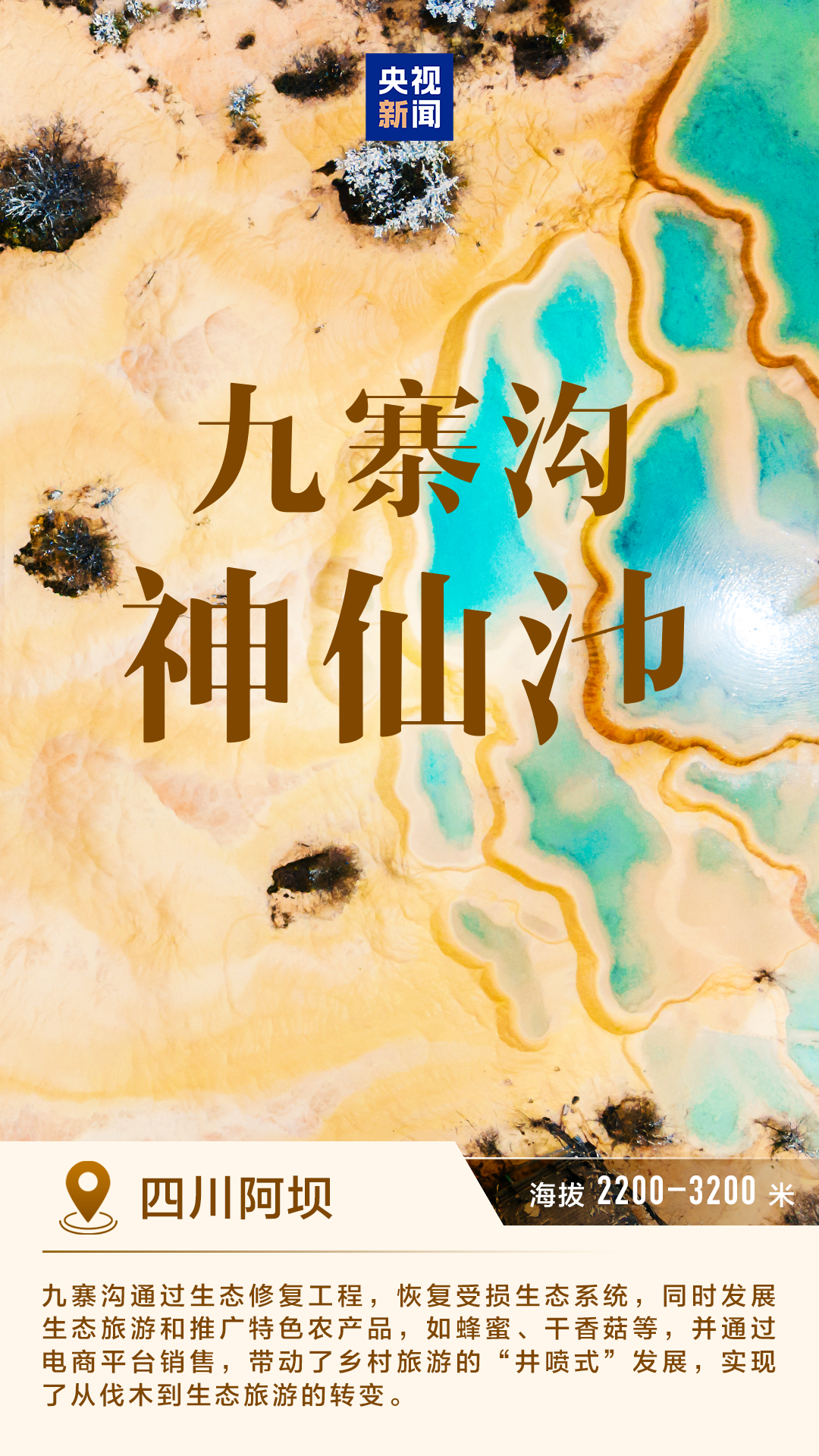 efde1dbc02de8e4db6c19a0034ed6be1.png