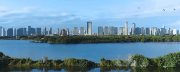 2fd25d80bd39ed6f0e84da257d0f1c65.gif
