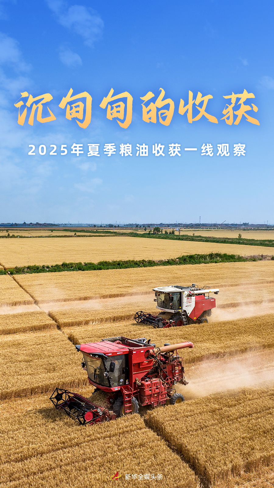 7383cc6a85497e861ddcd6141357cb49.png