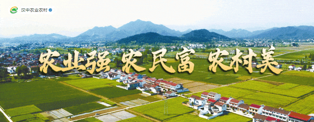 陕西发布首批“千万工程”示范村名单，汉中57个村入选