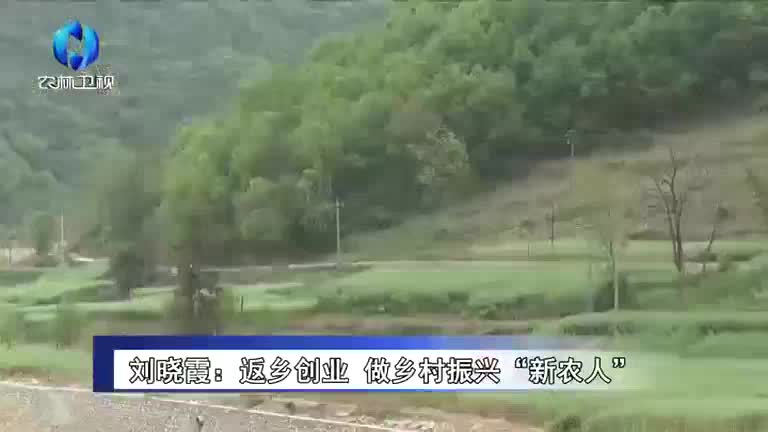 农村大市场(2025-06-09)
