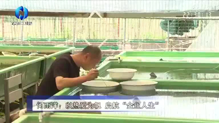 农村大市场(2025-06-10)