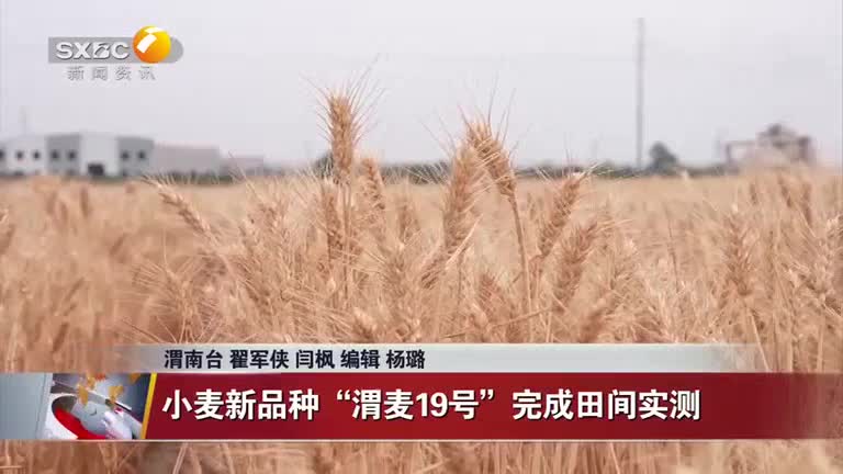 晚间新闻站(2025-06-11)