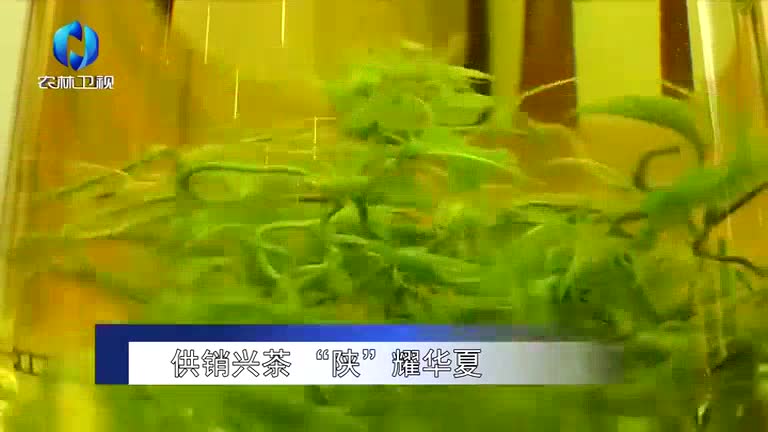 农村大市场(2025-06-11)