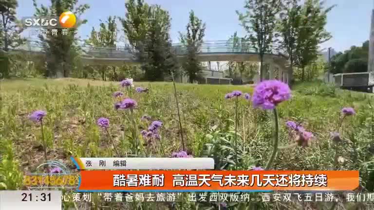 都市快报(2025-06-12)