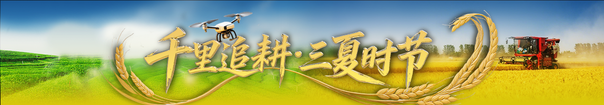 acd281fe124d188357d969bbbb4ed6e6.png