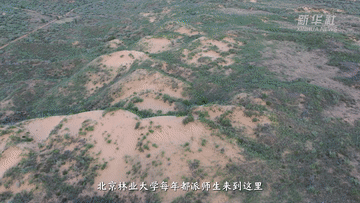 6ef83716974c4440c51847e5afd1e7b2.gif