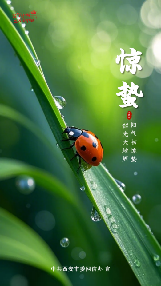731ce3e1e731dbf04a2da64a793a3418.png