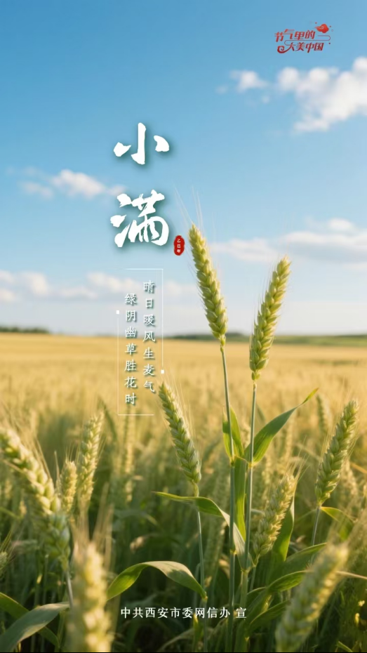 85af6ac179c45a868033cff38c629c95.png