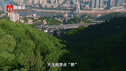f78b81d9a06bb9925cb86d1226be0ad5.gif