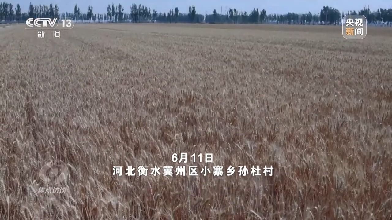 75c72541ffa6ae56562b05a581080b3b.jpeg