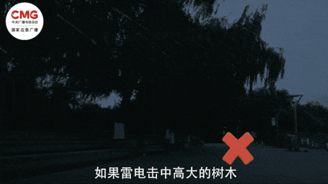 c57a2d9db9c11bdafd18bdd8c19b4c45.gif