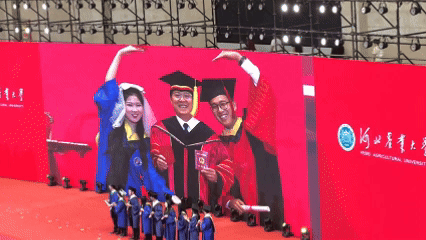 c32950e6ae9d6fab1088d859cff6199a.gif