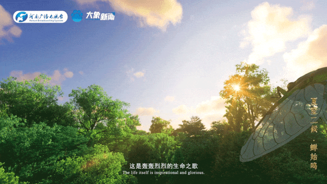 1f4060939ca9b3bb7924b19f9aba8bd0.gif