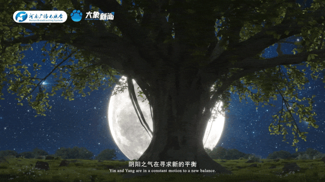 5c1b29291776d86ea39fe9fd9d0031ee.gif