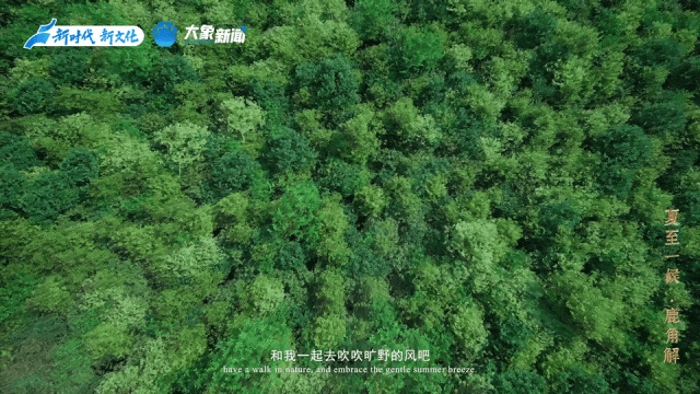 7823547bc324a7981644e6a336b5f520.gif