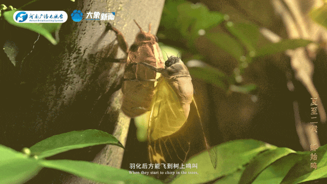 8036906eddb46ac551160fe1dc89cbe1.gif