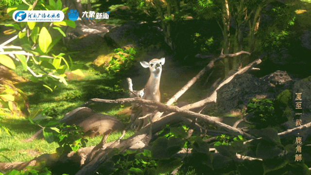 cd50ac5afe29d987a33593b0c75cad07.gif